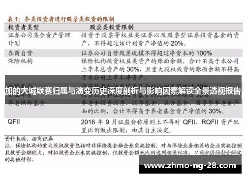 加的夫城联赛归属与演变历史深度剖析与影响因素解读全景透视报告 加的夫城联赛归属与演变历史深度剖析与影响因素解读全景透视报告