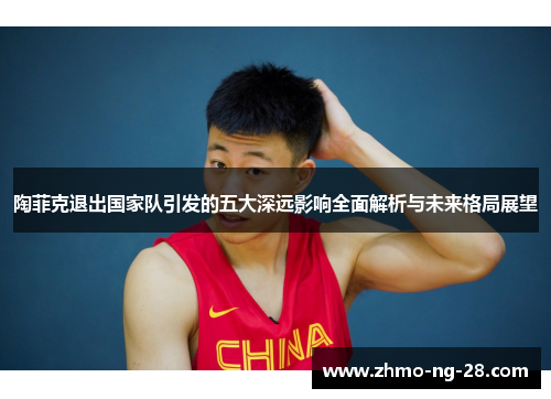 陶菲克退出国家队引发的五大深远影响全面解析与未来格局展望 陶菲克退出国家队引发的五大深远影响全面解析与未来格局展望